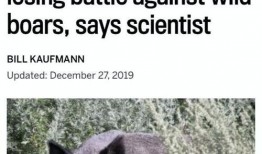 野猪最新爆料,娱乐圈最新爆料大起底